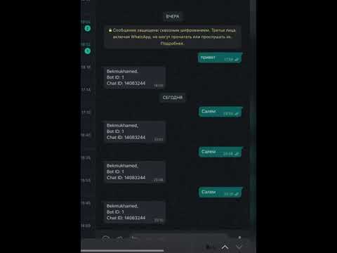 WhatsApp -қа gts4b хабарламаларын қалай орнатуға болады | GPS бақылау нұсқаулығы