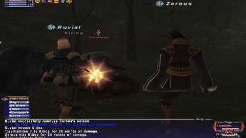 Petrifying Pair - Leviathan Server