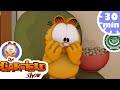 The Garfield Show - غارفيلد يحقق في الأمر