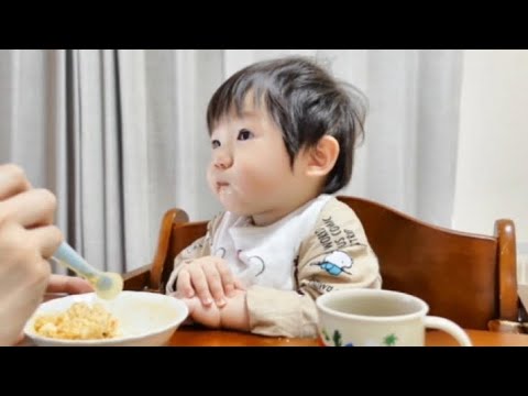 お行儀よく離乳食を食べたけどごはんがなくなったことに気づいたら号泣しちゃいました
