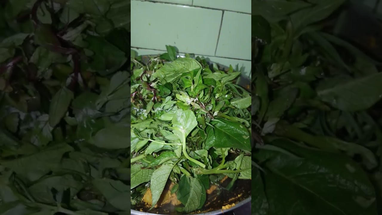 Alu ka sag methi ka sag Mater khesari aur bathua ka sag and alu mix sarso wali sabji recipe tasty 