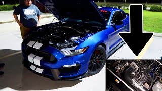 Hellion Twin Turbo GT350