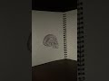 Done the skull drawing