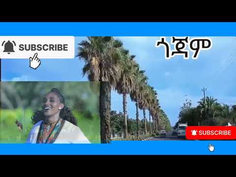 ቤተልሔም አክሊሉ አላዋጣኝም Bethlehem Aklilu Alawtagnm