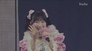 きゅんかわ人生