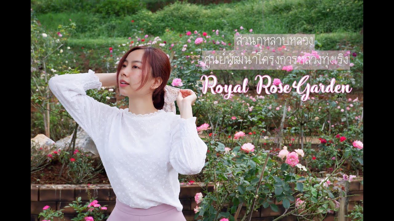 Royal rose garden เที่ยวสวนกุหลาบ จิบชายามบ่าย ได้อารมณ์อังกฤษสุดๆ ||ไฮโซล้านนา||