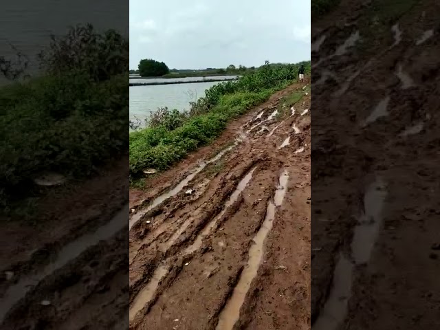 Kmp sembilangan /tanah baru desa hurip Jaya kecamatan babelan Kabupaten Bekasi, jln lom ada perbaika class=