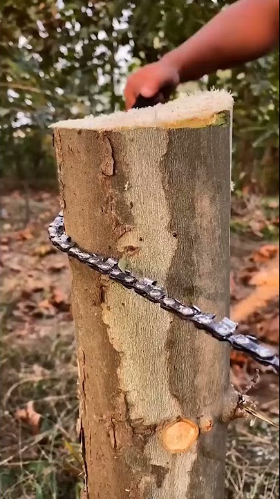 Pocket Chainsaw Demo 2021- Does it Work？