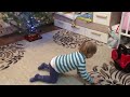 Малыш Ян получает новогодний подарок и наряжает елку.