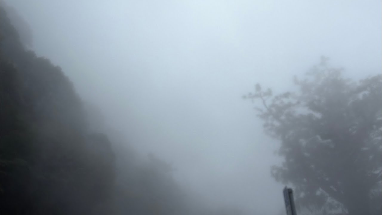 2026_0220_騎行_中橫_梨山 碧綠神木