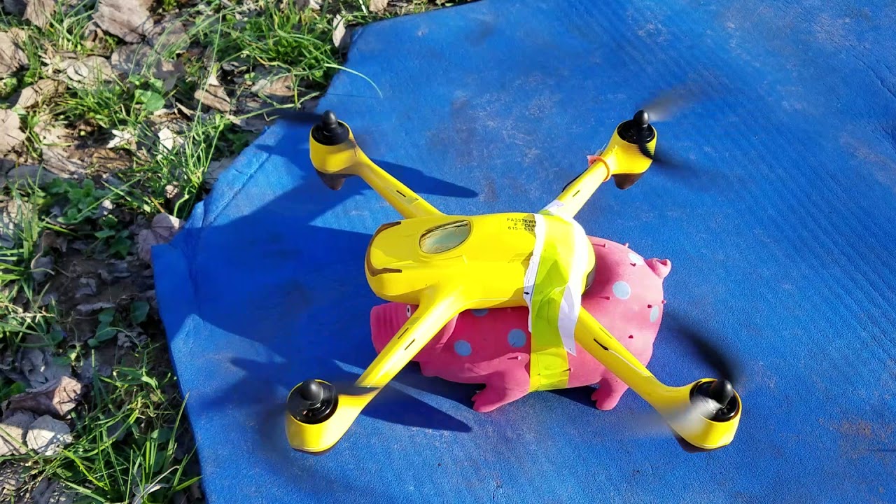 Flying pig . drone pig. Quadcopter.  Hubsan 501s. drone, pig,