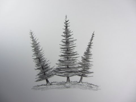 Amazon.com: Pine Tree Sketch Art, Tree Drawing Print, Minimalist Wall Art,  Canvas, Wall Decor : Handmade Products