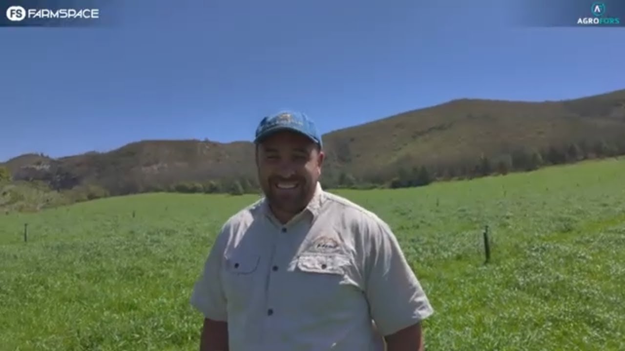 As jy weiding wil doen, is Agrofors 'n maatskappy waarna jy moet kyk?