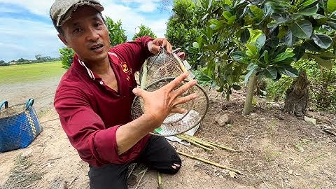 Cách đặt lờ từ A-z dính 100% lóc trê và đủ loại cá khác