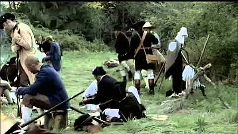 The Revolution:  Hornet's Nest