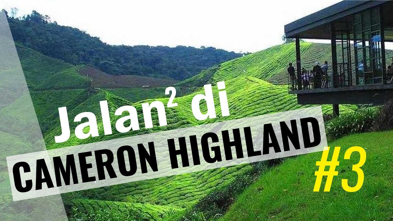 Tempat Menarik di Cameron Highland (#3) - YouTube