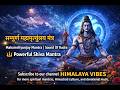 Powerful Mahamrityunjay Mantra | सम्पूर्ण शिव मंत्र | Sound Of Rudra | Shiva Meditation