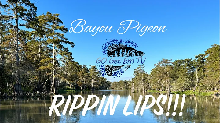 RIPPIN LIPS in BAYOU PIGEON!!