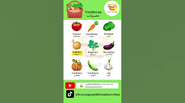 الخضروات بالاسبانية Las Verduras En Español 