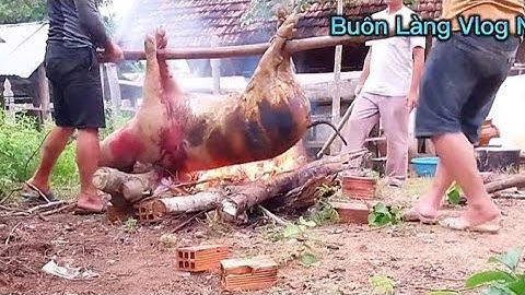 Lễ ăn nhà mã theo phong tục tập quán của người dân tộc Gia Rai Tây Nguyên @Tangirs