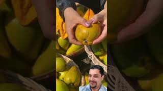 Download Lagu Tuturuba: o sabor raro da natureza\ MP3