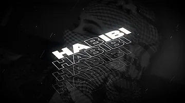 Kostich - Habibi (Official Visualizer)