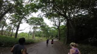 Ruislip Woods Run Hd