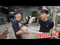 Troll Minh Vương Thành Viên Mới Team Dương KCVà Cái Kết ! Thịnh Ethix