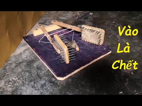 Video Bẫy Chuột kinh dị nhất - youtube