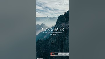 آيات من القرآن الكريم للقارئ عبد الرحمن مسعد و ياسر الدوسري