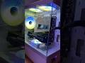 🖤🤍 SENTEY H10 white 🤍 Mi PC black &amp; white  #gamingpc  #pcgaming  #gaming