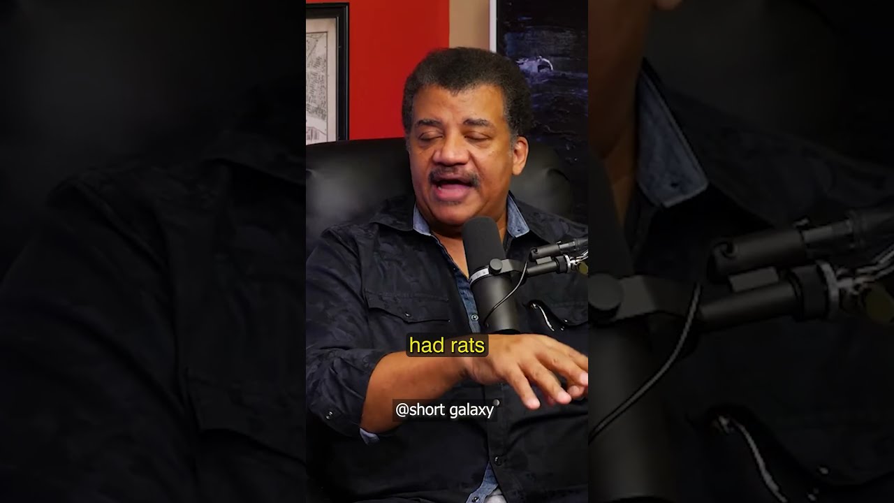 The Reason Why We Still Associate Cats With Witches Neil DeGrasse Tyson Theo Von Shorts Podcast
