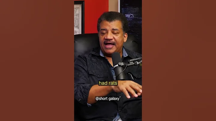 the reason why we still associate cats with witches | Neil deGrasse Tyson - Theo Von#shorts #podcast