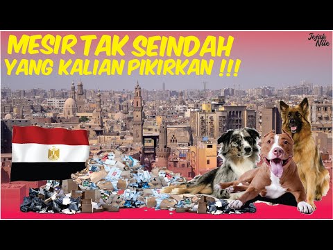 Video: Perjalanan Sehari Terbaik Dari Kairo