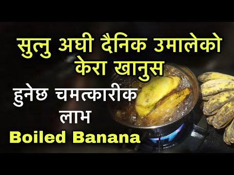 सुत्नु अघी दैनिक उमालेको केरा खानुस हुनेछ चमत्कारीक लाभ/Boiled Banana