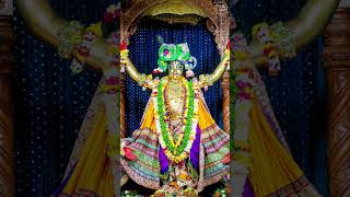 "Daily Darshan may 25th Mayapur and Vrindavan. " #mayapur #vrindavan #darshan #spiritualjourney