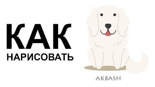 Картинки собаки. КАК НАРИСОВАТЬ СОБАКУ поэтапно Картинки собаки. КАК НАРИСОВАТЬ СОБАКУ поэтапно