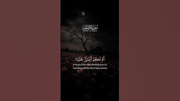 اكتب شيء تؤجر عليه 🤎🎧 | قران كريم | راحة نفسية