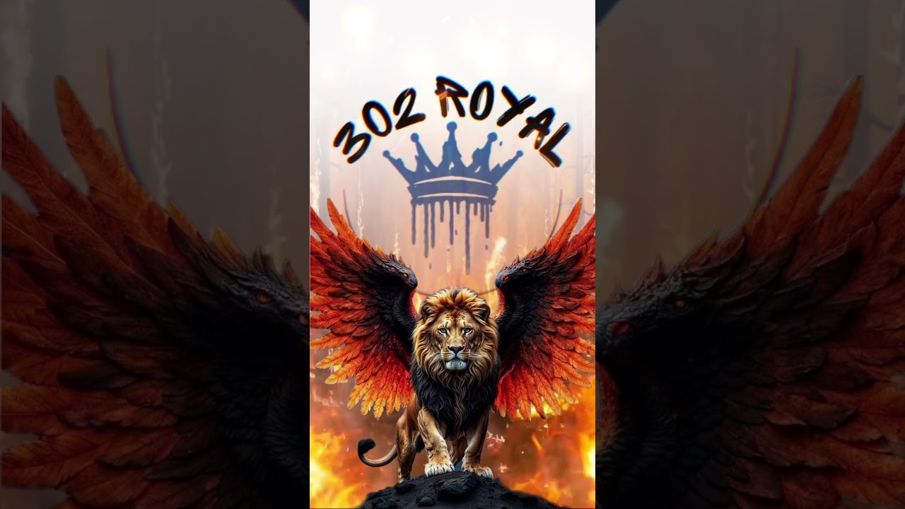 302 ROYAL is coming to help small businesses get better exposure in their dominant markets.