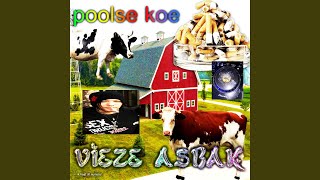 Video thumbnail of "Vieze Asbak - Polish Cow"
