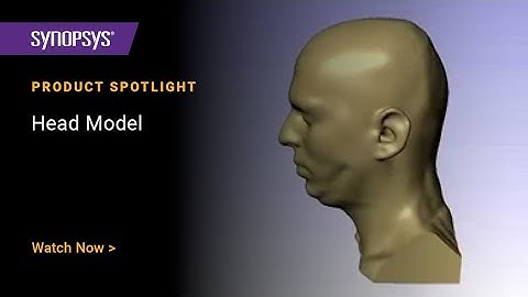Head model