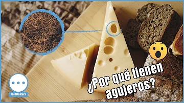 ¿Por qué tiene agujeros el queso?