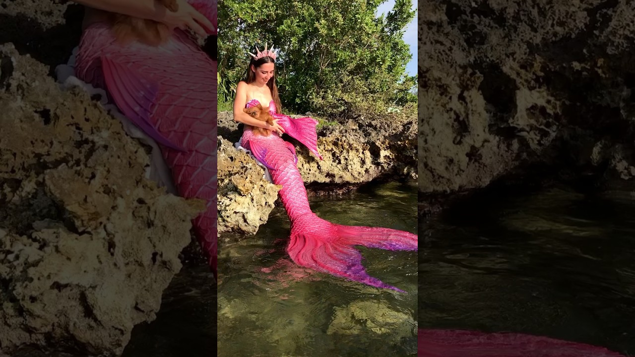 Mama mermaid rocks her mer pup by the water! 🥹🐾 