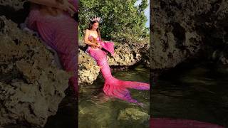 Mama Mermaid Rocks Her Mer Pup By The Water