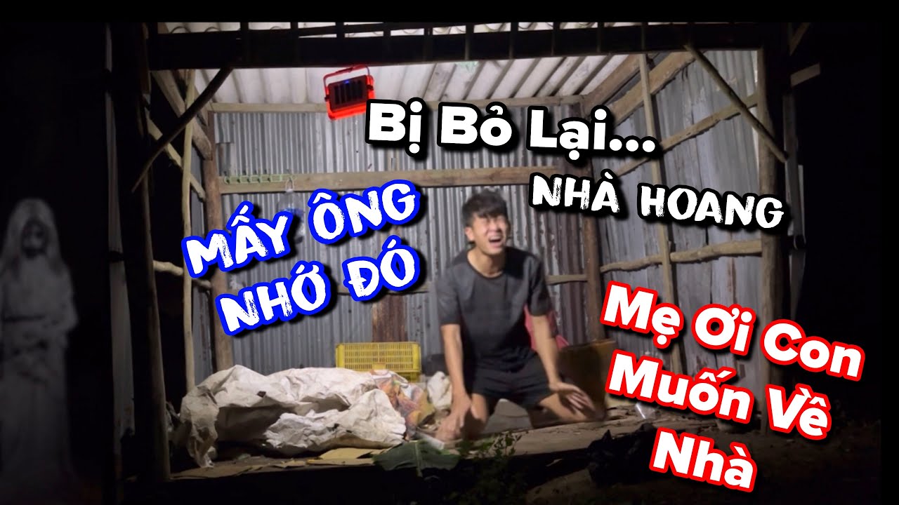 Ku Vàng Khóc Nức Nở khi bị Thánh Xàm bán đứng bỏ rơi trong căn chòi hoang giữa đồng 