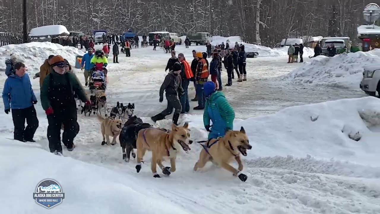 Sidney Bahl Bib #9 Start Day 1 - Tug 150 Goose Bay Inn - Feb 11 2023 // Kale Casey Live