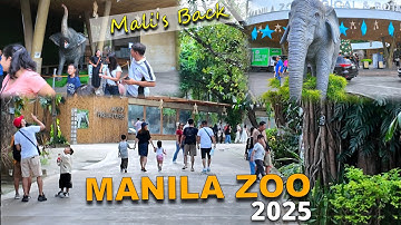 MANILA ZOO KAMUSTA NA? 2025 MAY BAGONG ATRAKSYON