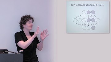 Rachel Wilson - What Has the Brain Evolved to Know About the Natural Olfactory World (Apr 18, 2012)