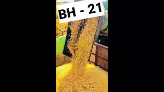 Hybrid Paddy Bh-21