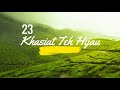 23 Khasiat Teh Hijau | Minumlah ia setiap hari